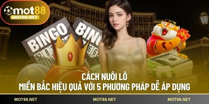 Nuôi lô miền Bắc