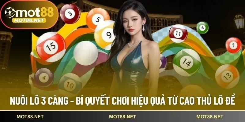 Nuôi lô 3 càng
